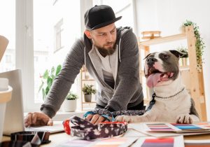 Young casual man looking at his dog while bending over workplace with laptop