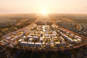 New Cairo Land