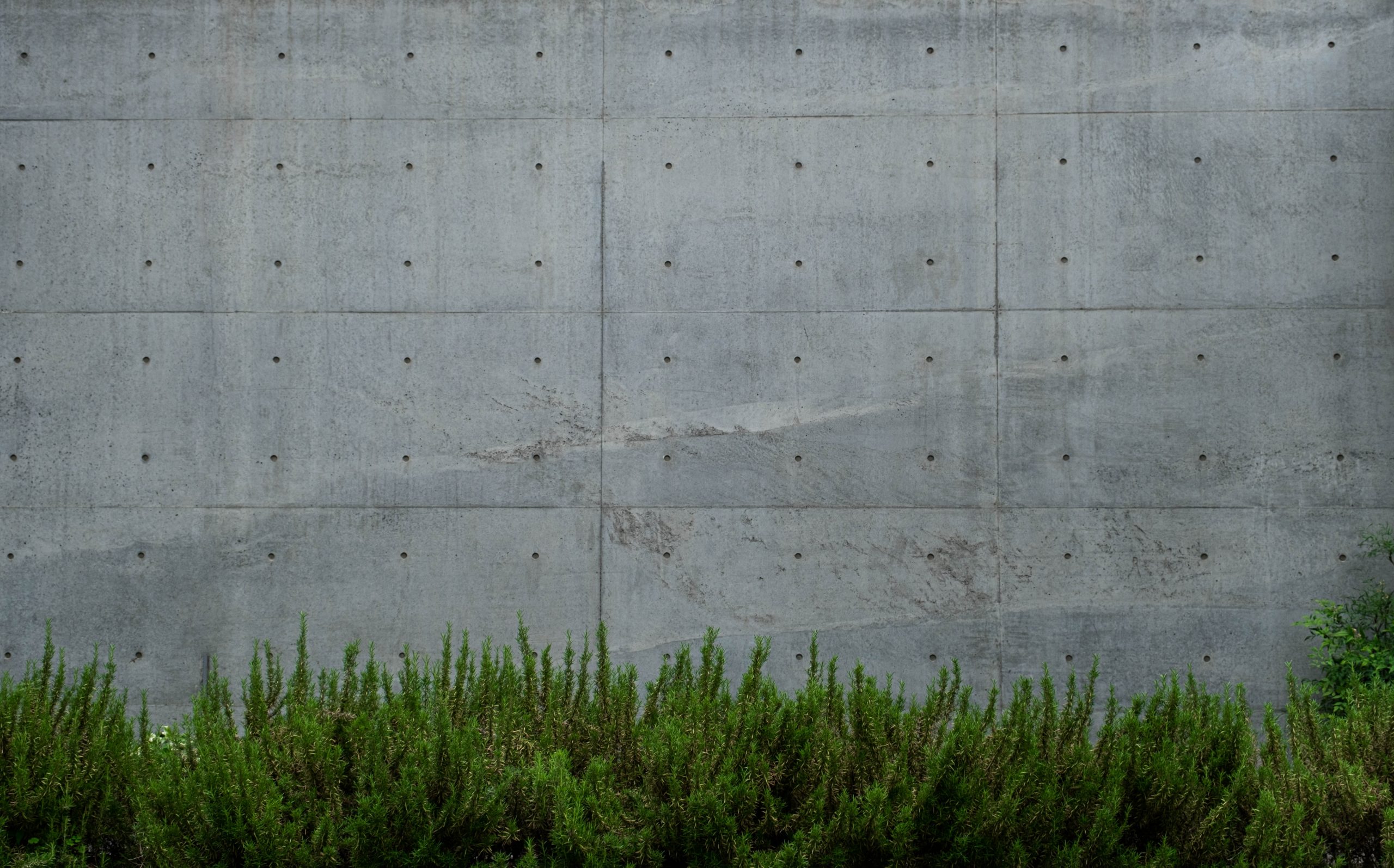 Materials in Review: Concrete